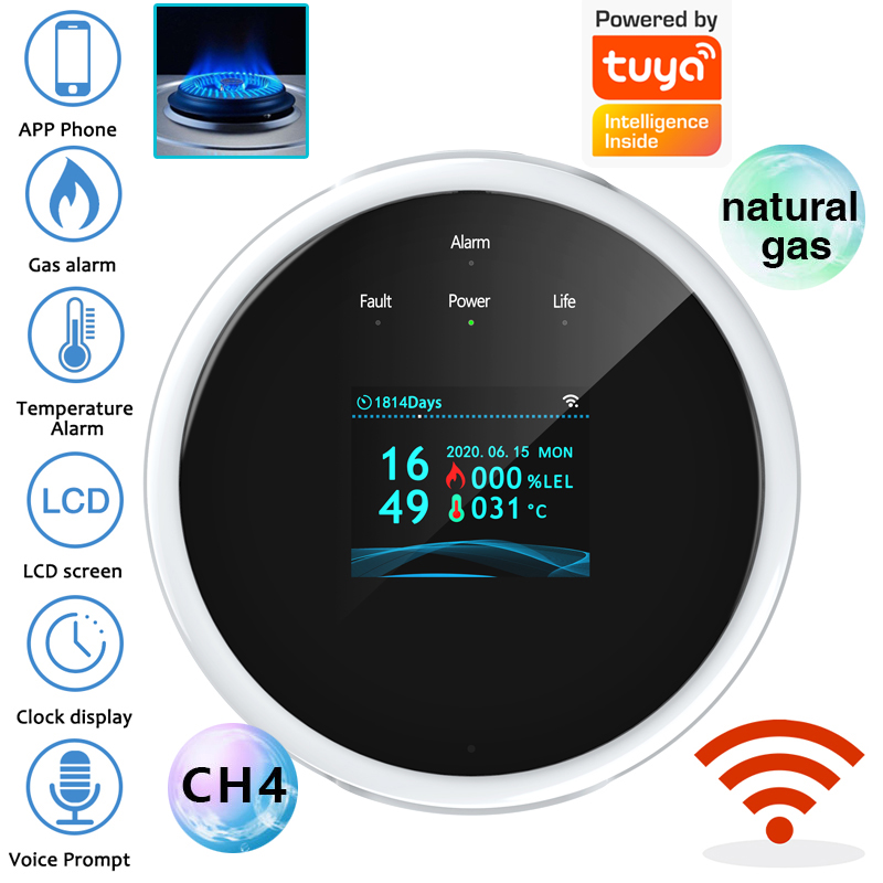 Home Security With Monitoring - 2.4G WiFi Gas Alarm Sensor Combustible