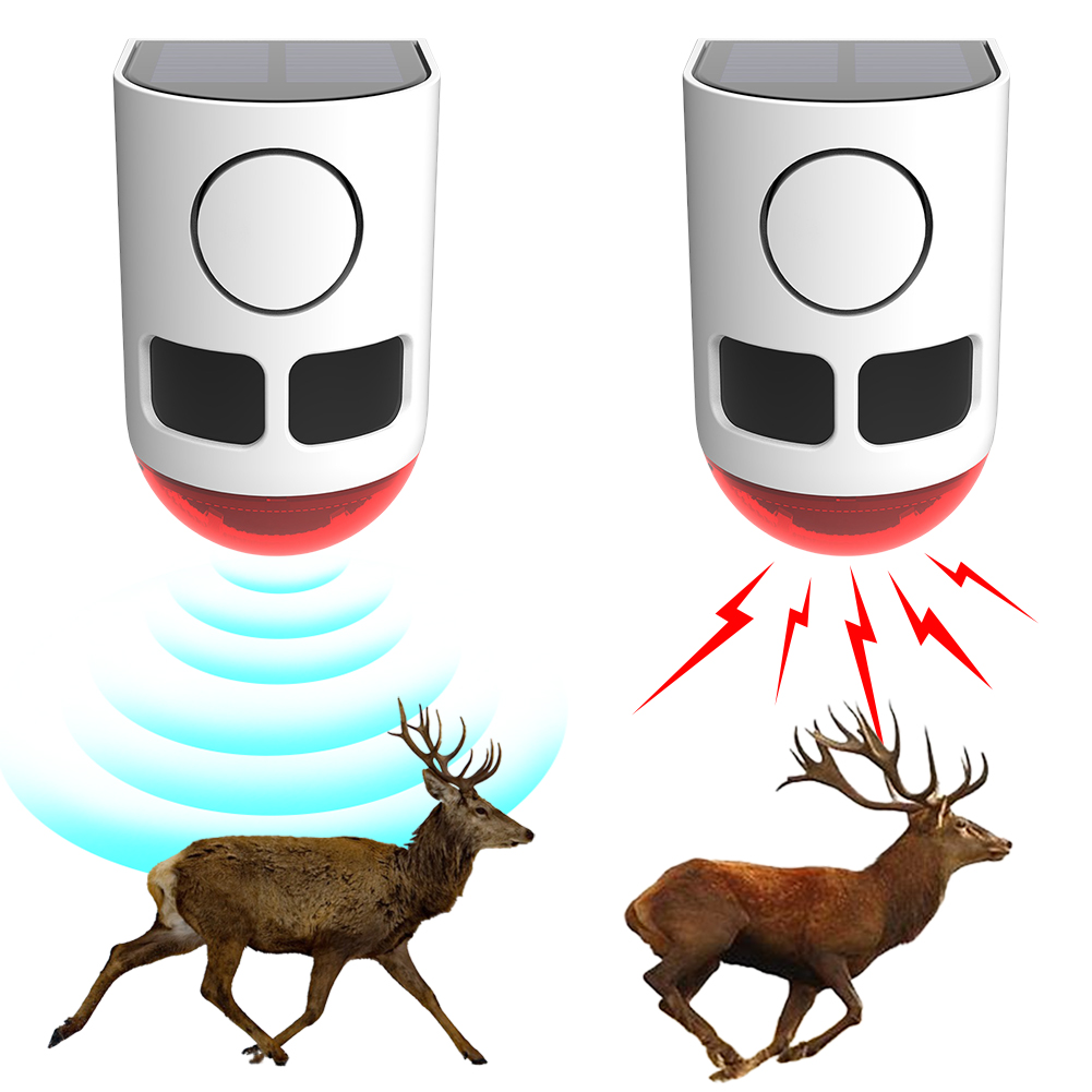 Solar Outdoor Motion Sensor Al - đánh giá và giá Home Yard Security