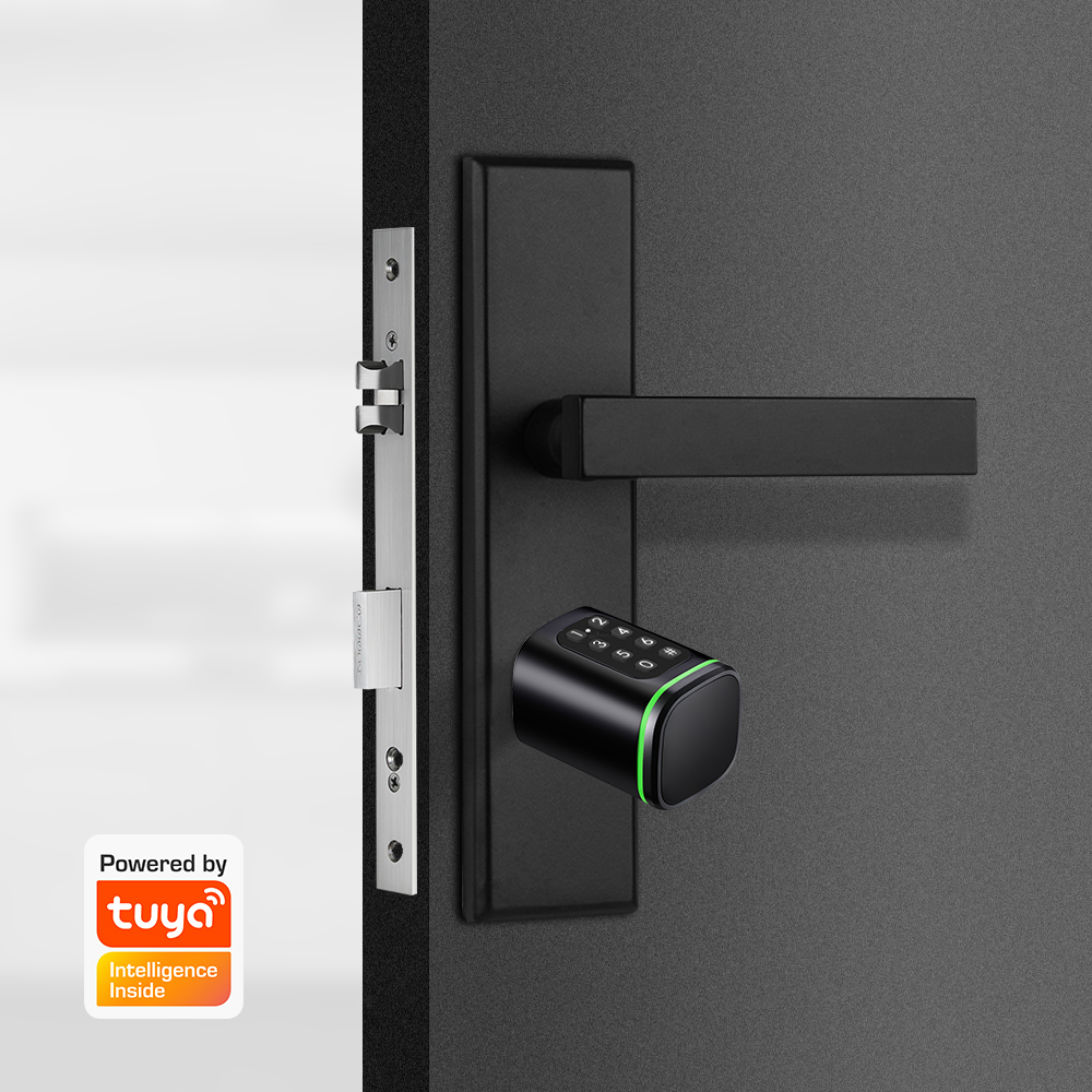 Smart Cylinder Lock Tuya 60-90 - đánh giá và giá Home Security Brand